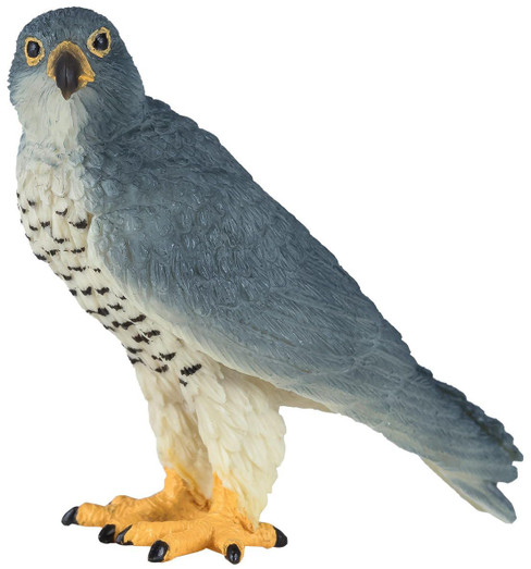 Falcon - Peregrine (Mojo)