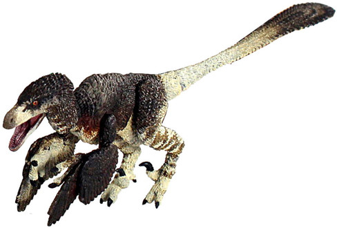 Dromaeosaurus albertensis (Beasts of the Mesozoic)