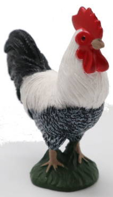 Chicken - Rooster (Mojo)