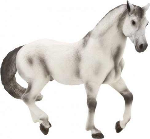 Andalusian Stallion Grey (Mojo)