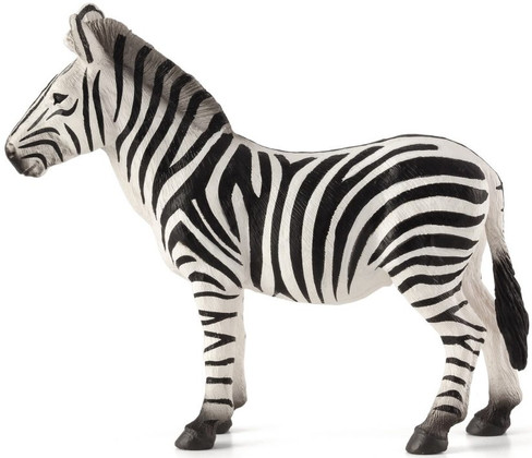 Zebra (Mojo)