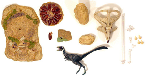 Mononykus Desert Accessory Pack (Beasts of the Mesozoic)