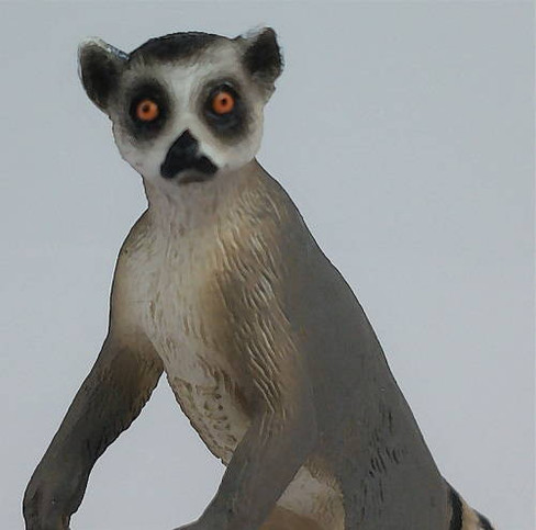 Lemur - Ringtail (Mojo)