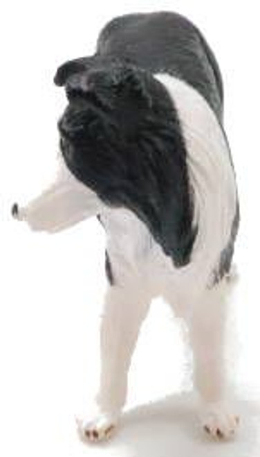 Mojo Border Collie Dog - Front View