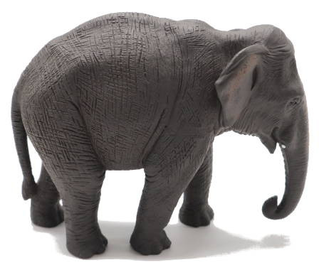 Mojo Wildlife - Asian Elephant #387266 - Nice Curled Truck