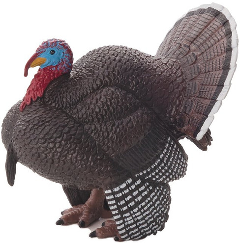 Turkey Tom (Mojo)