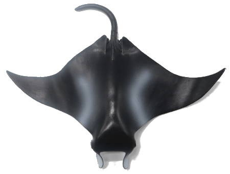 Mojo Sea Life - Manta Ray #387353 - Phantom Ghost of the Sea