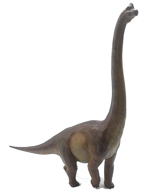 Brachiosaurus - Watchman Brown  (Nanmu)