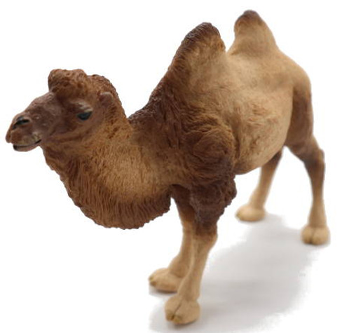 Camel - Bactrian (Papo)