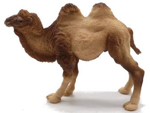 Camel - Bactrian (Papo)