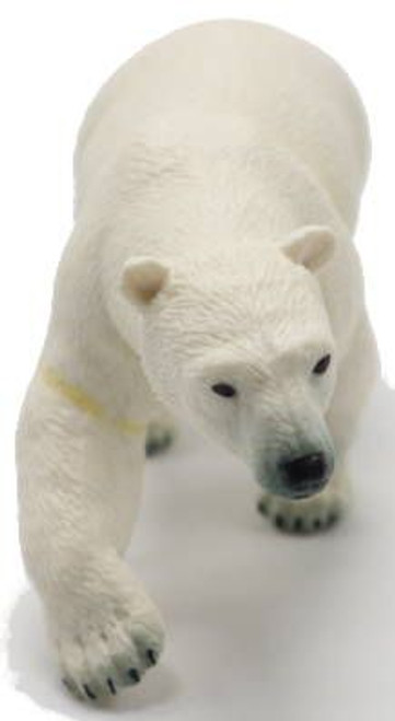 Bear - Polar (Papo)