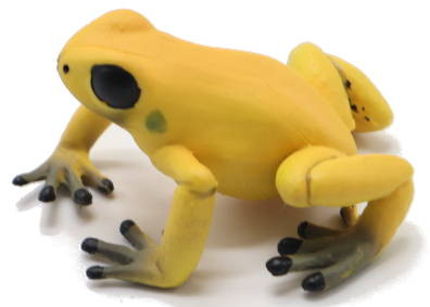 Papo Equatorial Frog - Yellow #50174 - Brilliant Coloring