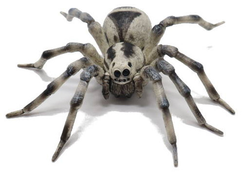 Tarantula (Papo)