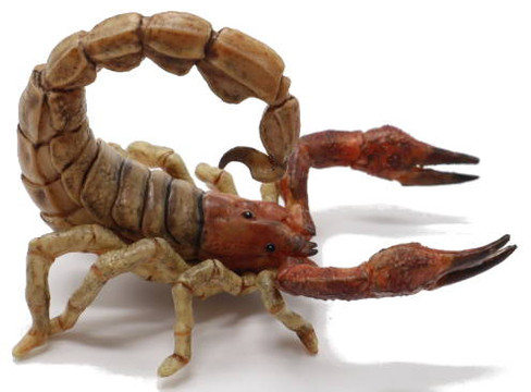 Scorpion (Papo)