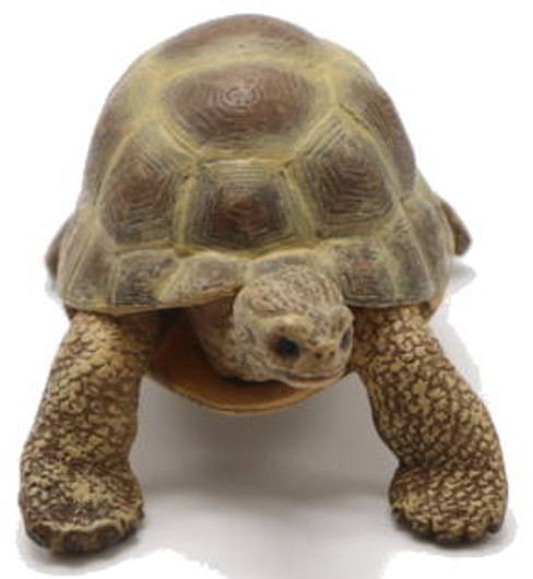 Turtle - Hermann's Tortoise (Papo)