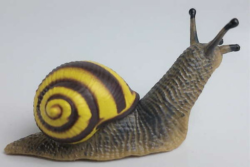 Snail - Grove (Papo)