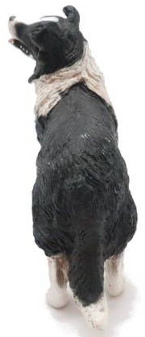 Dog - Border Collie (Papo)