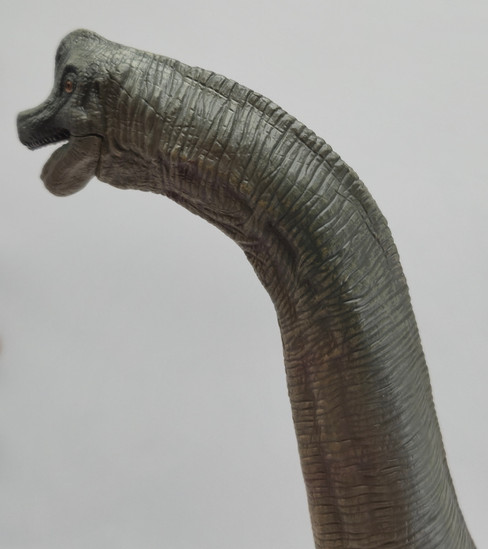 Papo Brachiosaurus 55030 side head zoom image