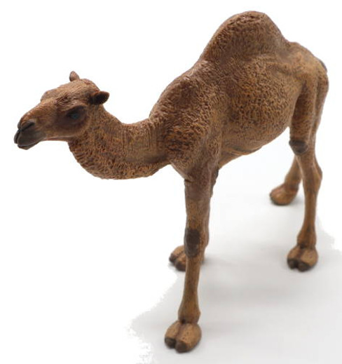 Camel - Dromedary (Papo)