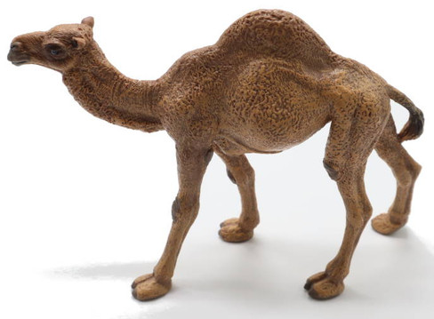 Camel - Dromedary (Papo)