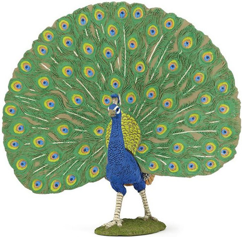 Peacock (Papo)
