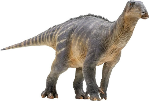 Iguanodon - Harvey (PNSO)