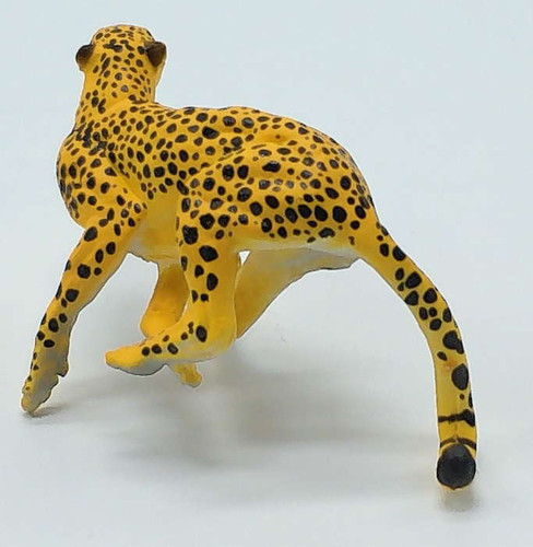 PNSO Ami the Leopard - Rear Angle View