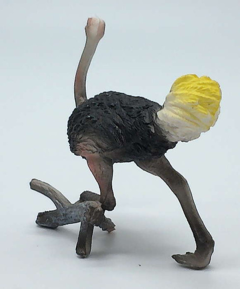 Ostrich - Fola (PNSO)