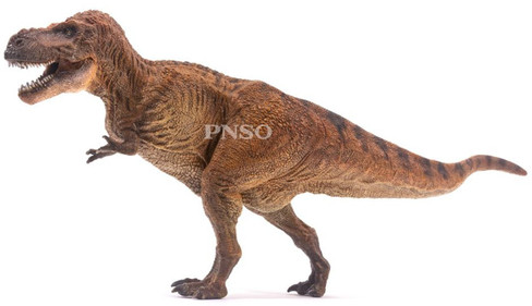 Tyrannosaurus rex - Wilson   (PNSO)