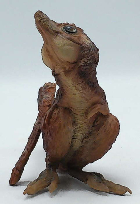 PNSO Aaron The Young Tyrannosaurus Rex - Close Up View