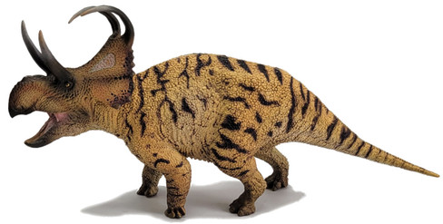 Machairoceratops - Perez (PNSO)