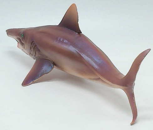 Helicoprion - Haylee (PNSO)