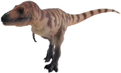 Daspletosaurus - Cole (PNSO)