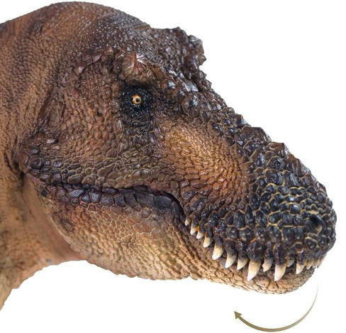 Tyrannosaurus Rex - Female - Andrea (PNSO)