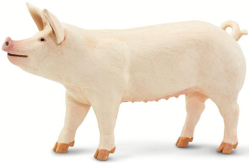 Large White Pig (Safari Ltd.)