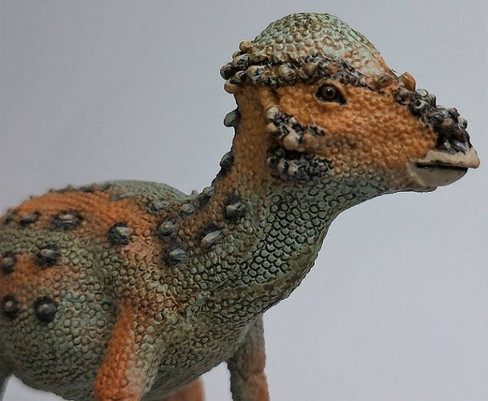 Pachycephalosaurus (Safari Ltd.)