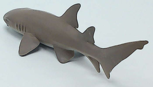 Shark - Nurse (Safari Ltd.)