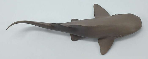 Shark - Nurse (Safari Ltd.)