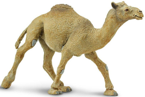 Safari Ltd. Toy Figure - Dromedary Camel