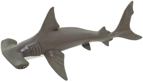 Shark - Hammerhead Baby (Safari Ltd.)