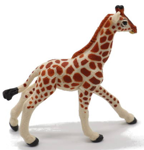 Giraffe Calf - Reticulated (Safari Ltd.)