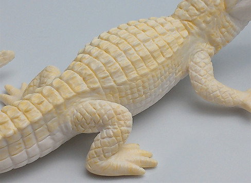 Alligator - White (Safari Ltd.)