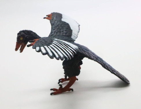 Archaeopteryx (Safari Ltd.)