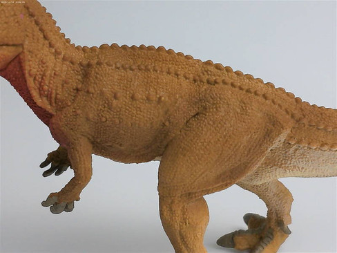 Ceratosaurus (Safari Ltd.)