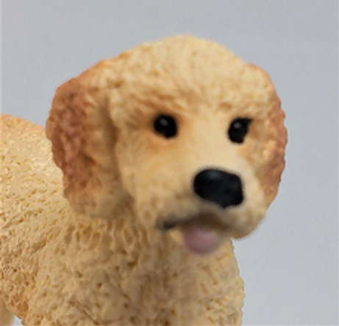 Dog - Goldendoodle (Schleich)