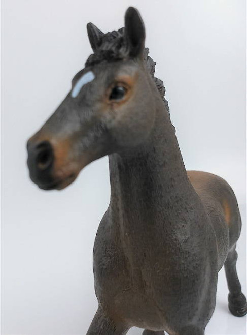 Oldenburger Stallion (Schleich)