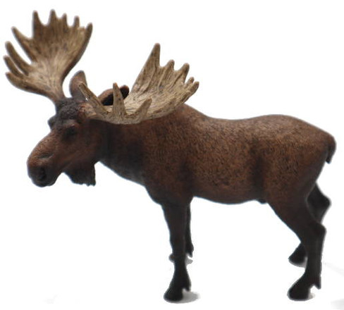 Moose Bull (Schleich)