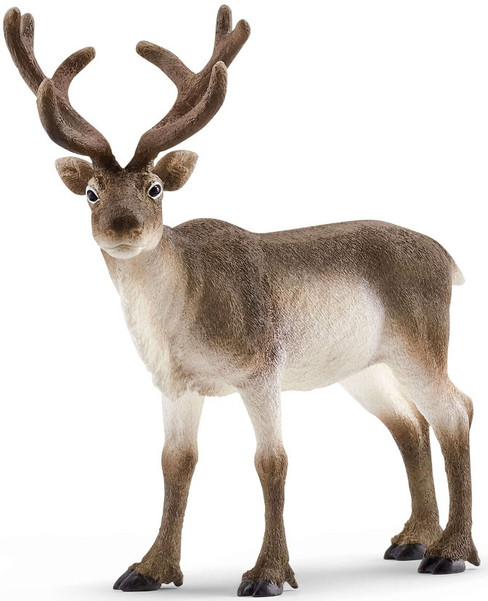Caribou - Reindeer (Schleich)