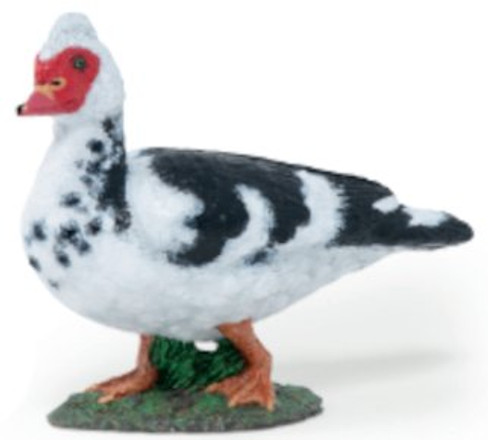 papo-muscovy-duck-51189-right-side
