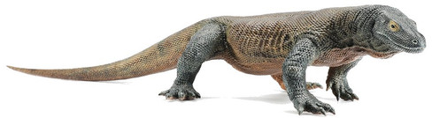 Lizard - Komodo Dragon - 1:6 Scale (REBOR)